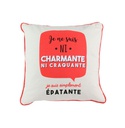 Coussin avec illustration à message