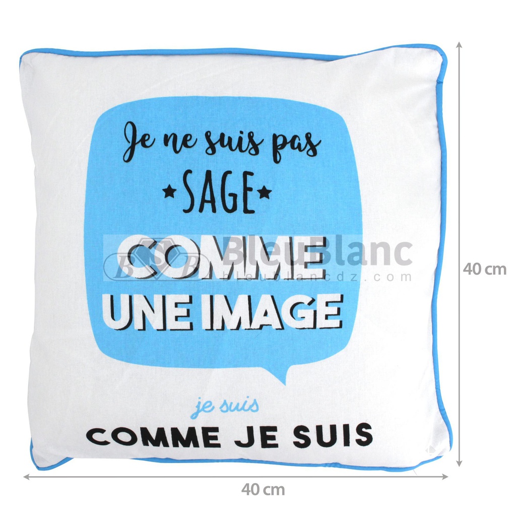 Coussin avec illustration à message